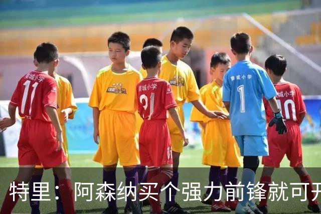 特里：阿森纳买个强力前锋就可开启英超王朝 切尔西想夺冠还早